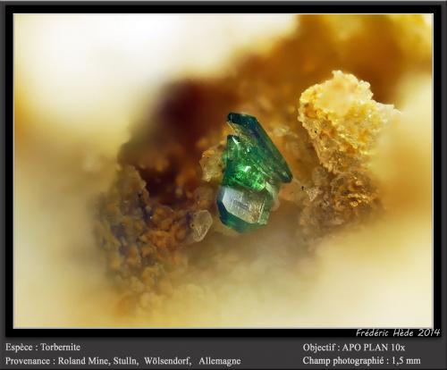 Torbernite<br />Mina Roland, Freiung, Stulln, Distrito Wölsendorf Oeste, Alto Palatinado/Oberpfalz, Baviera/Bayern, Alemania<br />fov 1.5 mm<br /> (Author: ploum)