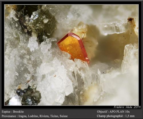 Brookite<br />Iragna, Lodrino, Riviera, Ticino (Tessin), Switzerland<br />fov 1.5 mm<br /> (Author: ploum)