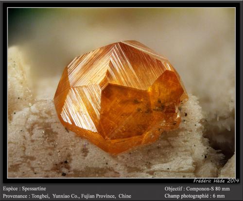 Spessartine<br />Tongbei, Yunxiao, Prefectura Zhangzhou, Provincia Fujian, China<br />fov 6 mm<br /> (Author: ploum)