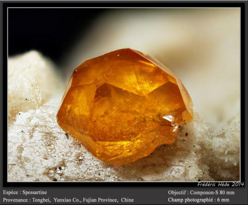 Spessartine<br />Tongbei, Yunxiao, Prefectura Zhangzhou, Provincia Fujian, China<br />fov 6 mm<br /> (Author: ploum)