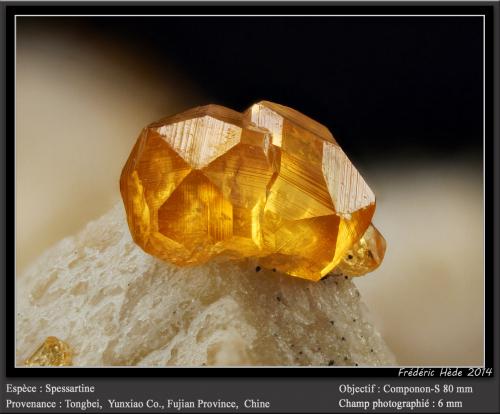 Spessartine<br />Tongbei, Yunxiao, Prefectura Zhangzhou, Provincia Fujian, China<br />fov 6 mm<br /> (Author: ploum)