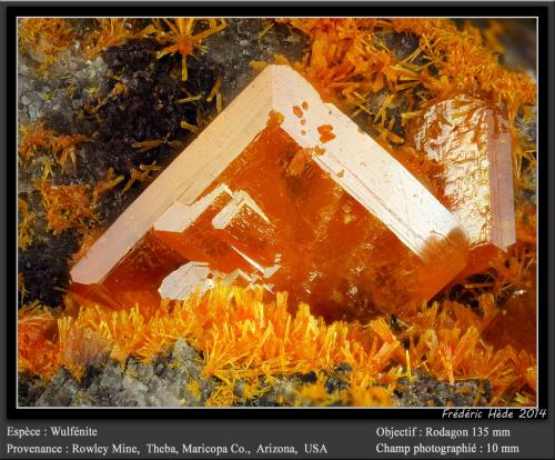 Wulfenite<br />Mina Rowley, Theba, Distrito Painted Rock, Montes Painted Rock, Condado Maricopa, Arizona, USA<br />fov 10 mm<br /> (Author: ploum)