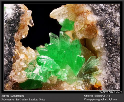 Annabergite<br />Mina Km-3, Lavrion, Distrito minero Lavrion, Prefectura Attikí (Attica), Grecia<br />3.5 mm<br /> (Author: ploum)
