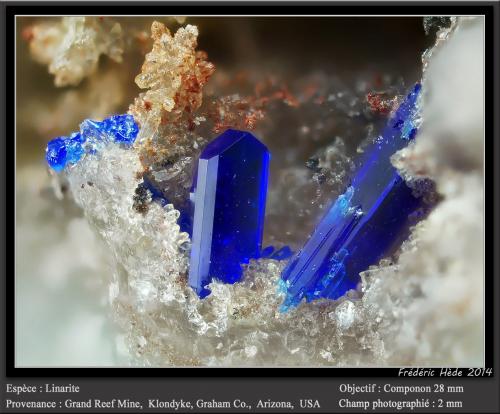 Linarite<br />Grand Reef Mine, Laurel Canyon, Grand Reef Mountain, Klondyke, Aravaipa District, Graham County, Arizona, USA<br />fov 2 mm<br /> (Author: ploum)