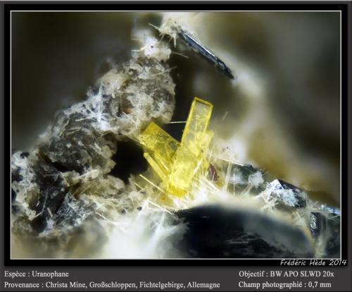 Uranophane<br />Christa Mine, Großschloppen, Weißenstadt, Fichtelgebirge, Franconia , Bavaria/Bayern, Germany<br />fov 0.7 mm<br /> (Author: ploum)