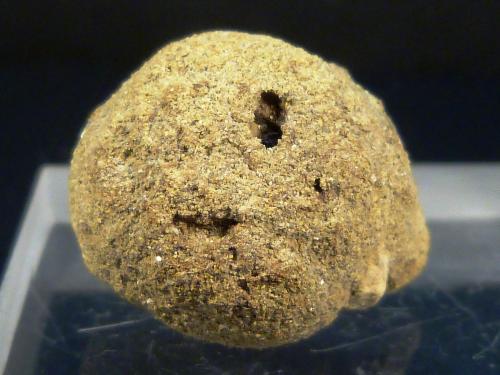Pirita<br />Carretera de Otíñar, Jaén, Comarca Metropolitana de Jaén, Andalucía, España<br />2,5 cm. de diámetro<br /> (Autor: Felipe Abolafia)