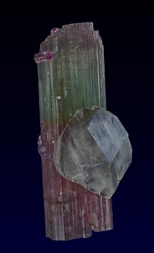 Elbaite, Quartz<br />Himalaya Mine, Gem Hill, Mesa Grande District, San Diego County, California, USA<br />10.5 x 4.2 cm<br /> (Author: am mizunaka)