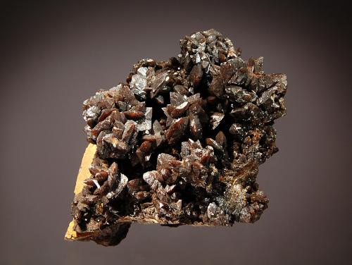 Descloizite<br />Berg Aukas, Grootfontein District, Otjozondjupa Region, Namibia<br />6.6 x 7.6 cm<br /> (Author: Michael Shaw)