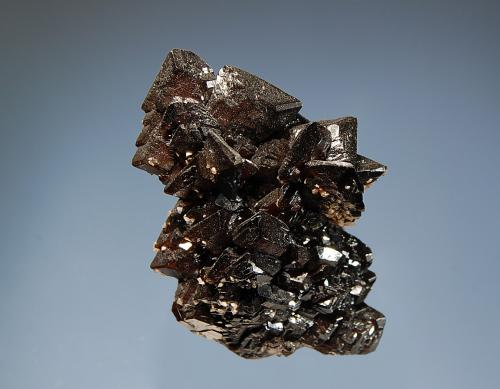 Descloizite<br />Berg Aukas, Grootfontein District, Otjozondjupa Region, Namibia<br />2.5 x 4.6 cm<br /> (Author: Michael Shaw)