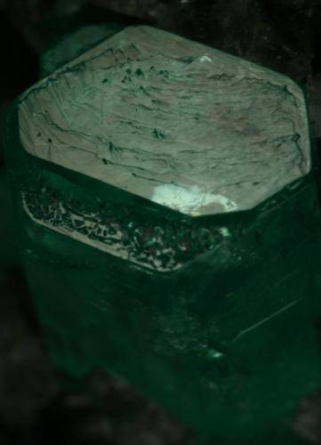 Beryl (variety emerald), Calcite<br />Coscuez mining district, Municipio San Pablo de Borbur, Western Emerald Belt, Boyacá Department, Colombia<br />35x40x55mm<br /> (Author: Fiebre Verde)