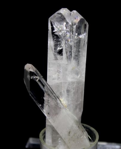 Danburite<br />Charcas, Municipio Charcas, San Luis Potosí, Mexico<br />6.0 x 3.0 cm<br /> (Author: Don Lum)