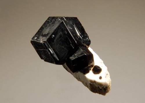 Andradite<br />Zona Imilchil, Anti-Atlas, Provincia Er Rachidia, Región Drâa-Tafilalet, Marruecos<br />1.5 x 2.3 cm<br /> (Author: crosstimber)