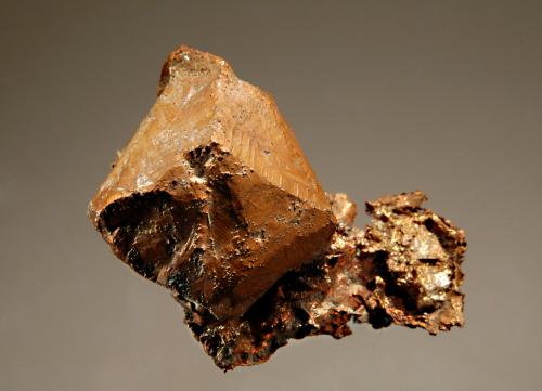 Copper<br />Caledonia Mine, Mass City, Ontonagon County, Michigan, USA<br />2.3 x 2.7 cm<br /> (Author: crosstimber)