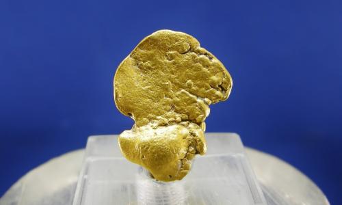 Oro<br />Salamanca, Castilla y León, España<br />1.8 x 1.3 cm<br /> (Autor: Diego Navarro)