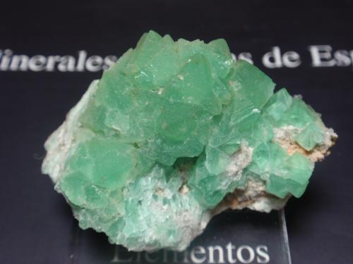 Fluorita<br />Pedrera Berta, Turó de Can Domènech, Serra de Roques Blanques, Sant Cugat del Vallès-El Papiol, Comarca Vallès Occidental / Baix Llobregat, Barcelona, Cataluña / Catalunya, España<br />50x35<br /> (Autor: Ignacio)