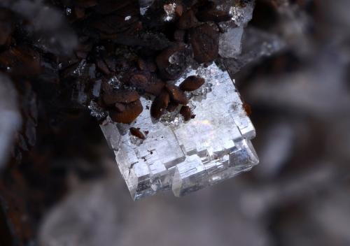 Barita<br />Santa Matilde cut, Berja mining group, Las Herrerías, Almagrera Range, Cuevas del Almanzora, Comarca Levante Almeriense, Almería, Andalusia, Spain<br />Campo de visión 5 mm.<br /> (Autor: Juan Miguel)