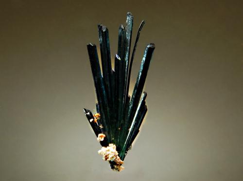 Vivianite<br />Huanuni Mine, Huanuni, Dalence Province, Oruro Department, Bolivia<br />1.6 x 3.0 cm<br /> (Author: crosstimber)