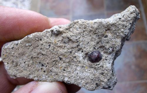 Almandino (grupo granate)<br />Rambla de las Granatillas, El Hoyazo, Níjar, Comarca Metropolitana de Almería, Almería, Andalusia, Spain<br />6 x 3 cm (cristal de 5 mm)<br /> (Autor: Cristalino)