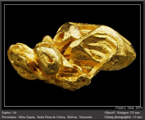 Gold<br />Zapata claims, Icabarú river placers, Santa Elena de Uairén, Gran Sabana, Bolívar State, Venezuela<br />fov 13 mm<br /> (Author: ploum)