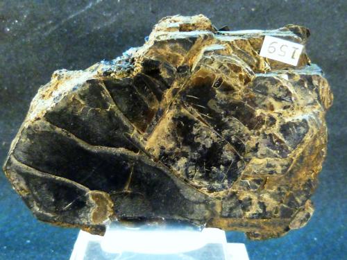 Flogopita (Grupo Mica)<br />Mina Jeffrey, Asbestos, Les Sources RCM, Estrie, Québec, Canadá<br />8 x 6 x 0,6 cm.<br /> (Autor: Felipe Abolafia)