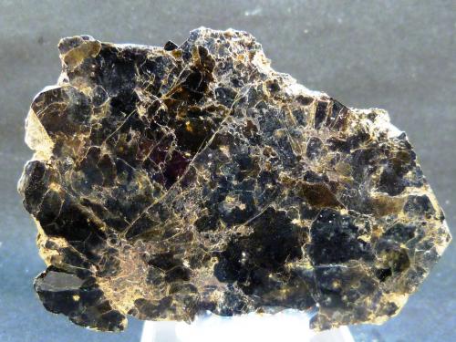 Flogopita (Grupo Mica)<br />Mina Jeffrey, Asbestos, Les Sources RCM, Estrie, Québec, Canadá<br />8 x 6 x 0,6 cm.<br /> (Autor: Felipe Abolafia)