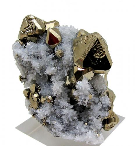 Pyrite, quartz<br />Mina Huanzala, Distrito Huallanca, Provincia Dos de Mayo, Departamento Huánuco, Perú<br />61 mm x 41 mm<br /> (Author: Carles Millan)