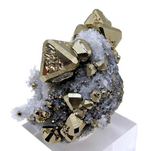 Pyrite, quartz<br />Huanzala Mine, Huallanca District, Dos de Mayo Province, Huánuco Department, Peru<br />61 mm x 41 mm<br /> (Author: Carles Millan)