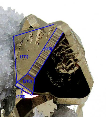 Pyrite, quartz<br />Huanzala Mine, Huallanca District, Dos de Mayo Province, Huánuco Department, Peru<br />61 mm x 41 mm<br /> (Author: Carles Millan)