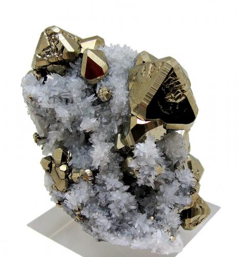 Pirita, cuarzo<br />Huanzala Mine, Huallanca District, Dos de Mayo Province, Huánuco Department, Peru<br />61 mm x 41 mm<br /> (Autor: Carles Millan)