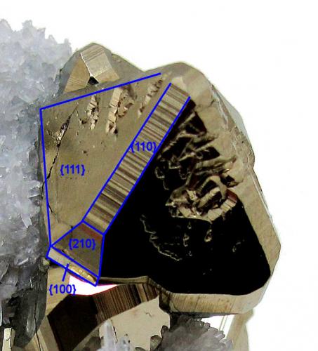 Pirita, cuarzo<br />Huanzala Mine, Huallanca District, Dos de Mayo Province, Huánuco Department, Peru<br />61 mm x 41 mm<br /> (Autor: Carles Millan)