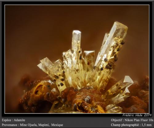 Adamite<br />Mina Ojuela, Mapimí, Municipio Mapimí, Durango, México<br />fov 1,8 mm<br /> (Author: ploum)