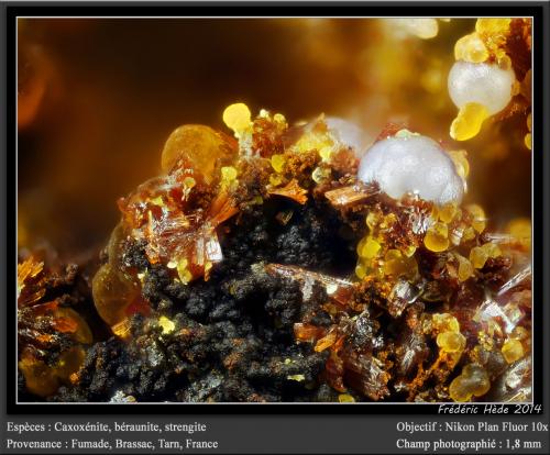 Cacoxenite, Beraunite, Strengite<br />Fumade, Castelnau-de-Brassac, Tarn, Occitanie, France<br />fov 1.8 mm<br /> (Author: ploum)