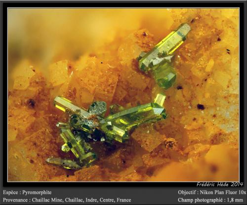 Pyromorphite<br />Mina Chaillac, Chaillac, Le Blanc, Indre, Centre-Val de Loire, Francia<br />fov 1,8 mm<br /> (Author: ploum)