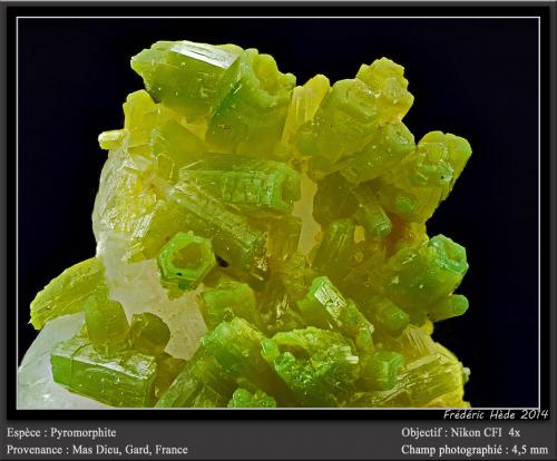 Pyromorphite<br />Mas Dieu, Mercoirol, Alès, Gard, Occitanie, Francia<br />fov 4,5 mm<br /> (Author: ploum)