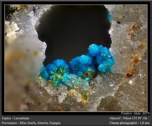 Lavendulan<br />María Josefa Mine, Rodalquilar, Níjar, Comarca Metropolitana de Almería, Almería, Andalusia, Spain<br />fov 1.8 mm<br /> (Author: ploum)