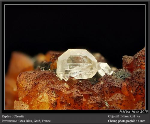 Cerussite<br />Mas Dieu, Mercoirol, Alès, Gard, Occitanie, France<br />fov 4,5 mm<br /> (Author: ploum)