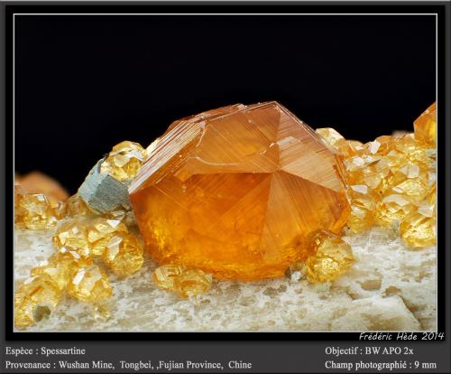 Spessartine<br />Catas Spessartina Wushan, Tongbei, Yunxiao, Prefectura Zhangzhou, Provincia Fujian, China<br />fov 9 mm<br /> (Author: ploum)