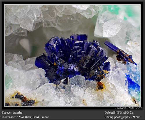 Azurite<br />Mas Dieu, Mercoirol, Alès, Gard, Occitanie, France<br />fov  9 mm<br /> (Author: ploum)