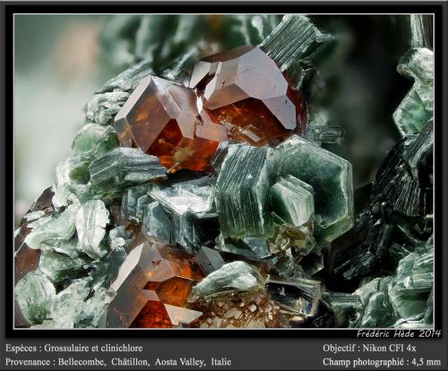 Grossular and Clinochlore<br />Bellecombe, Châtillon, Aosta Valley (Val d'Aosta), Italy<br />fov 4.5 mm<br /> (Author: ploum)