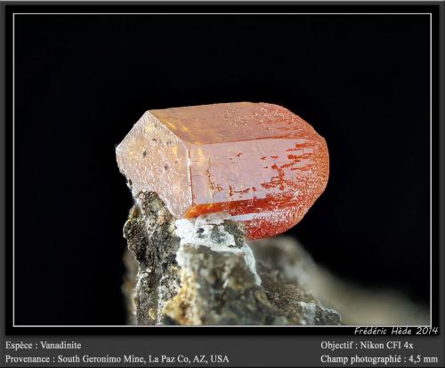 Vanadinite<br />South Geronimo Mine, Silver District, Trigo Mountains, La Paz County, Arizona, USA<br />fov 4.5 mm<br /> (Author: ploum)