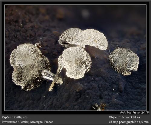 Phillipsite<br />Perrier, Distrito Issoire, Departamento Puy-de-Dôme, Auvergne-Rhône-Alpes, Francia<br />fov 4.5 mm<br /> (Author: ploum)