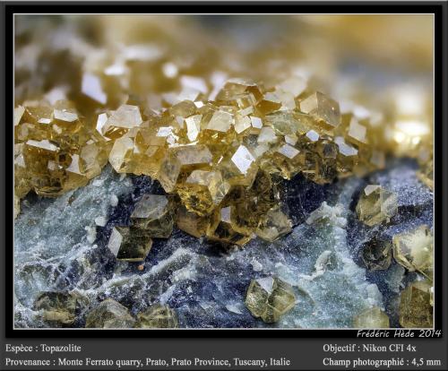 Andradite (var. topazolite)<br />Cantera Monte Ferrato, Prato, Provincia Prato, Toscana, Italia<br />fov 4.5 mm<br /> (Author: ploum)