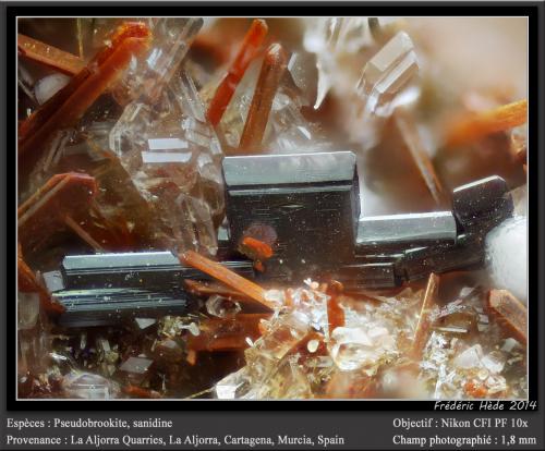 Pseudobrookite, Sanidine<br />De la Aljorra Quarries, Cerro de la Cabezuela (de la Aljorra Volcano), La Aljorra, Cartagena, Comarca Campo de Cartagena, Region of Murcia (Murcia), Spain<br />fov 1.8 mm<br /> (Author: ploum)