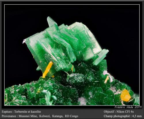 Torbernite and Kasolite<br />Musonoi Mine, Kolwezi, Kolwezi District, Lualaba, Katanga Copper Crescent, Katanga (Shaba), Democratic Republic of the Congo (Zaire)<br />fov 4,5 mm<br /> (Author: ploum)