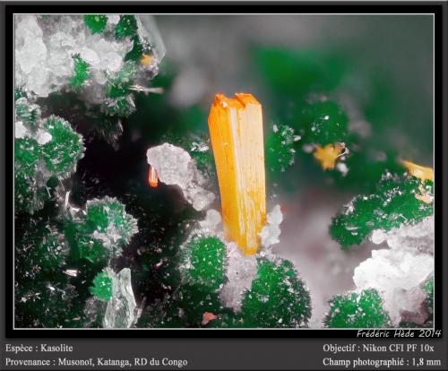 Kasolite<br />Mina Musonoi, Kolwezi, Distrito Kolwezi, Lualaba, Cinturón de cobre de Katanga, Katanga (Shaba), República Democrática del Congo (Zaire)<br />fov 1.8 mm<br /> (Author: ploum)