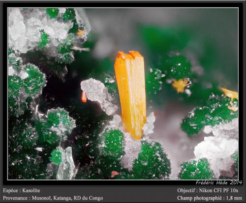 Kasolite<br />Musonoi Mine, Kolwezi, Kolwezi District, Lualaba, Katanga Copper Crescent, Katanga (Shaba), Democratic Republic of the Congo (Zaire)<br />fov 1.8 mm<br /> (Author: ploum)