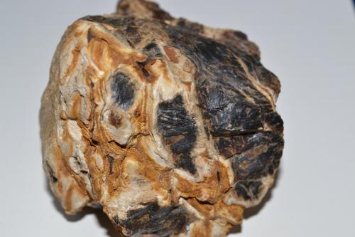 Barita (variedad oakstone)<br />La Cabaña, Valdelmar, Berbes mining area, Berbes, Ribadesella, Comarca Oriente, Principality of Asturias (Asturias), Spain<br />10 cm x10 cm x 8 cm<br /> (Autor: Raul S. Llorente)