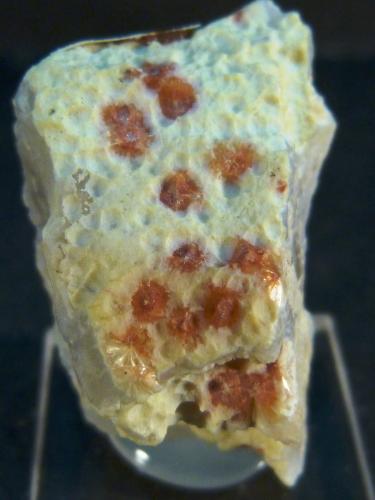 Ferrierita en Cuarzo (variedad calcedonia)<br />Lago Kamloops, Divisón Kamloops Mining, Columbia Británica, Canadá<br />2 x 3,5 x 3 cm.<br /> (Autor: Felipe Abolafia)