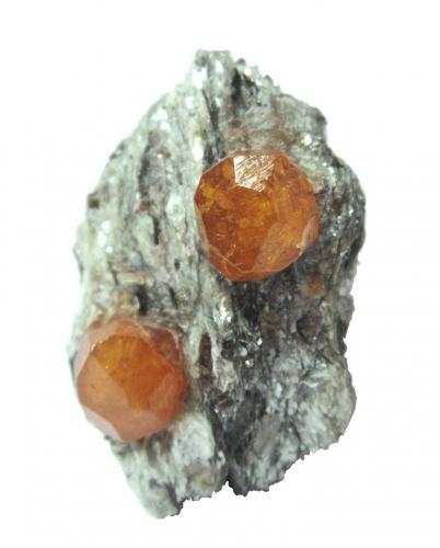 Spessartine<br />Colina Sangulungulu (Nani Hill), Naan, Loliondo, Distrito Ngorongoro, Región Arusha, Tanzania<br />Specimen size 5 cm, each crystal measures 1 cm<br /> (Author: Tobi)
