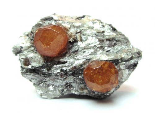 Spessartine<br />Colina Sangulungulu (Nani Hill), Naan, Loliondo, Distrito Ngorongoro, Región Arusha, Tanzania<br />Specimen size 5 cm, each crystal measures 1 cm<br /> (Author: Tobi)